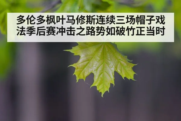 多伦多枫叶马修斯连续三场帽子戏法季后赛冲击之路势如破竹正当时
